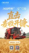 直播海报：河南吹响“三夏”号角 直击麦收开镰